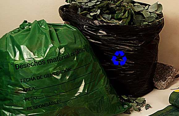 Fundas biodegradables y reutilizables